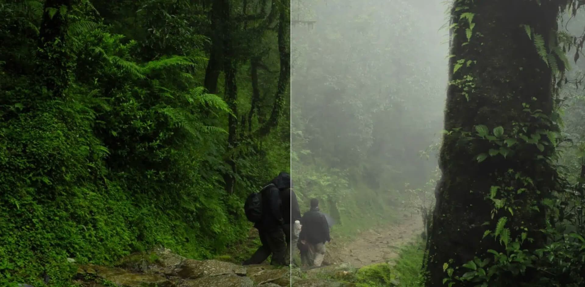 Luminar Neo Nebel mit KI ergänzen