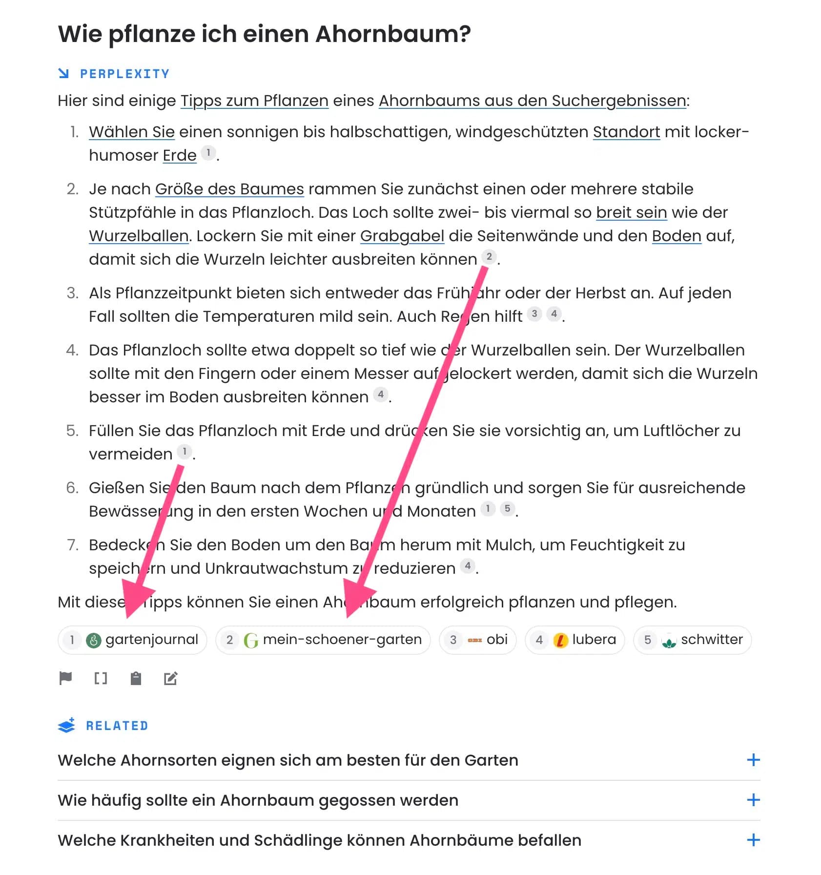 KI-generierte Chatantwort von Perplexity mit Internetquellen